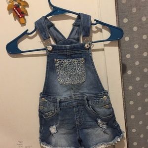 Denim Overalls